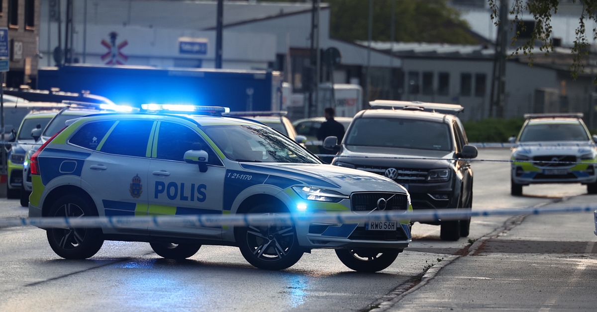 15-årig pojke häktas misstänkt för mordet i Boländerna