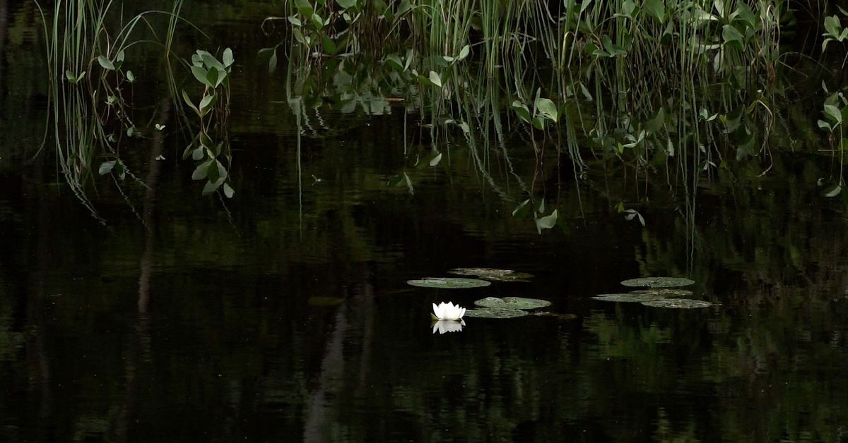 Sverige missar 15 av 16 milj&ouml;m&aring;l &ndash; &rdquo;Oroande&rdquo;