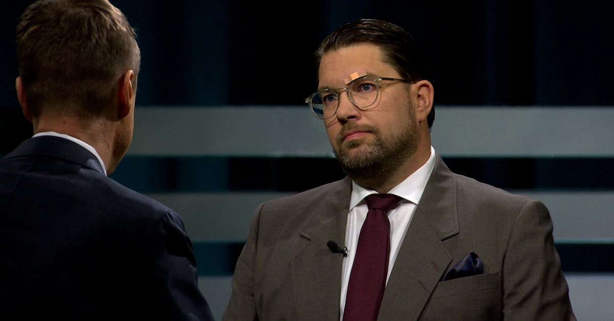 &Aring;kesson (SD): Beredd att axla rollen som statsminister