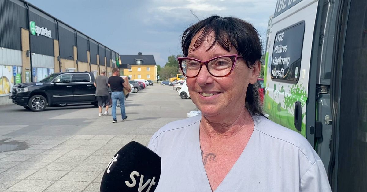 Birgittas buss ska stoppa TBE-smittan norrut