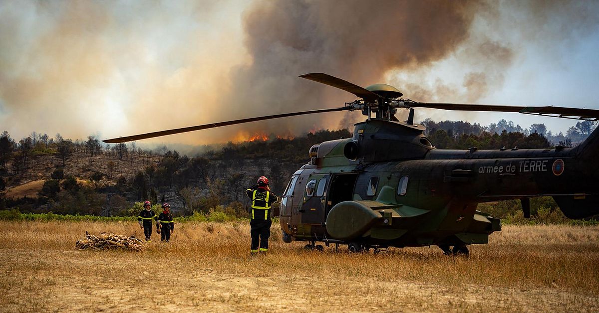 Värmebölja i Europa – flera länder flaggar för extrem brandrisk