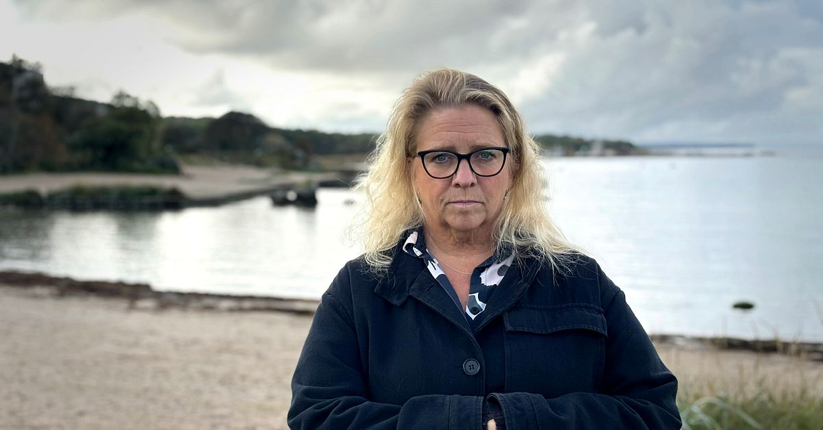 Gotland mobiliserar mot  höga färjepriser – ”Gått upp 50 procent”