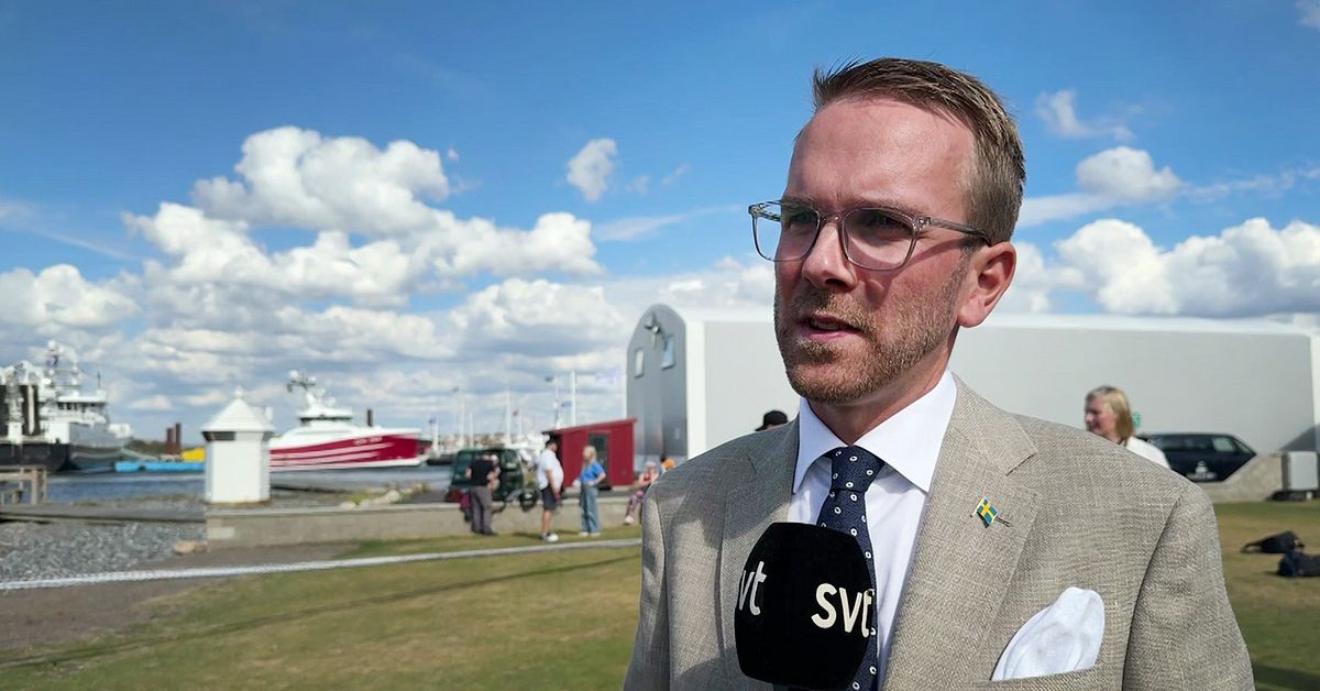 Infrastrukturminister Andreas Carlsson (KD) om rasrisken på riksväg 62: ”Ska skydda liv”