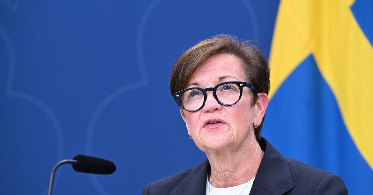 Skatteverkets generaldirekt&ouml;r avg&aring;r &ndash; utreds samtidigt f&ouml;r brott mot tystnadsplikten