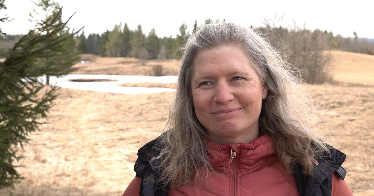 Kristina i Asp&aring;s fick bidrag till v&aring;tmark: &rdquo;Hoppas det kan bli mer djurliv&rdquo;