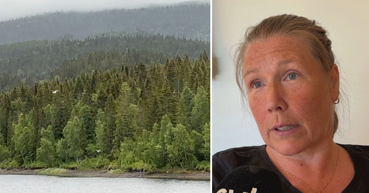 Skogsstyrelsen: D&auml;rf&ouml;r blev det nej till avverkning f&ouml;r Hyttsten