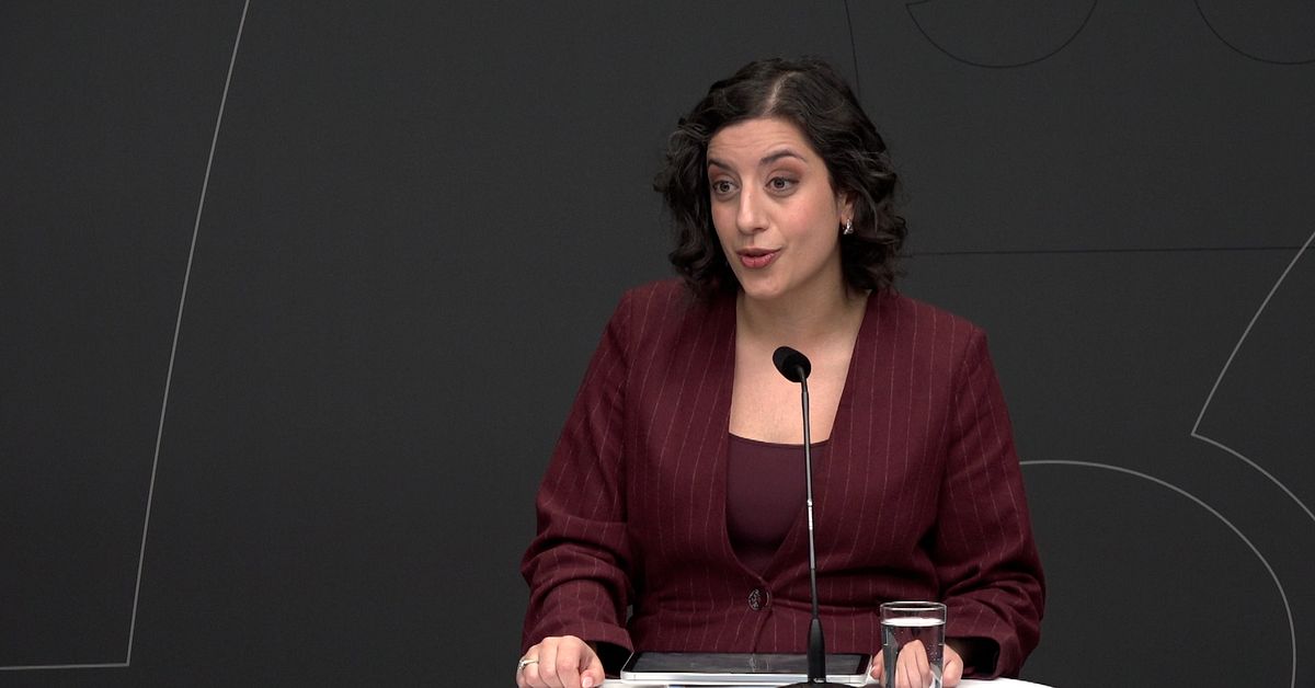 Utredare: F&ouml;retag som missk&ouml;ter sig ska stoppas fr&aring;n att starta nya skolor