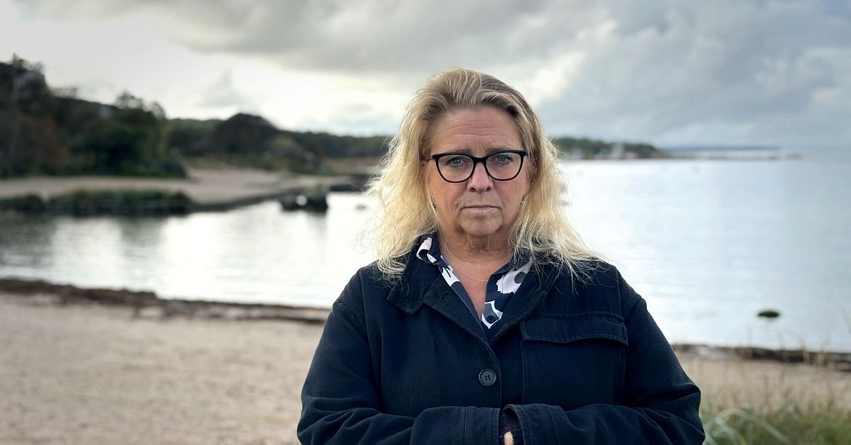 Gotland mobiliserar mot  höga färjepriser: ”Gått upp 50 procent”
