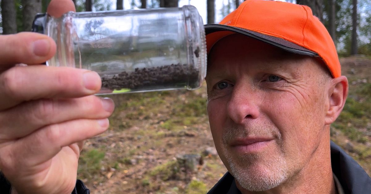 Miljarder förlorade efter angreppen – faran inte över: ”Ett skräckscenario”
