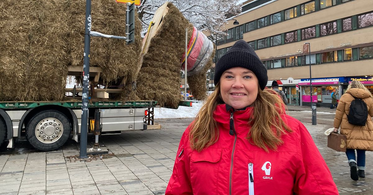 This year's Gävle goat has now begun to be built but it's not the