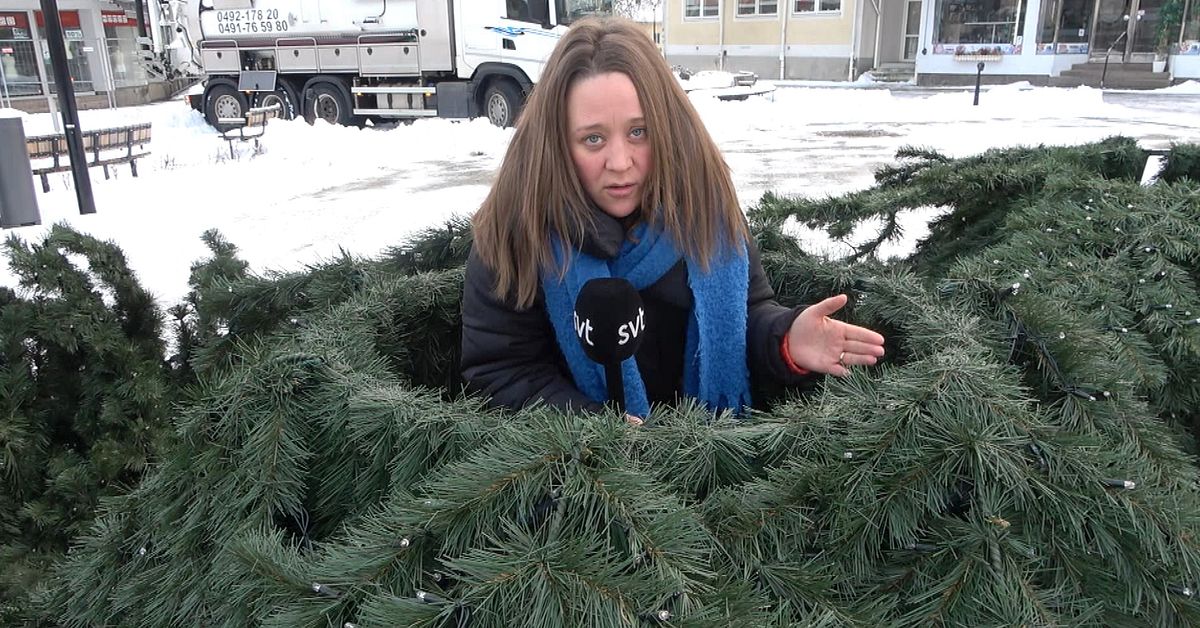 Hultsfreds hånade plastgran – högre än någonsin