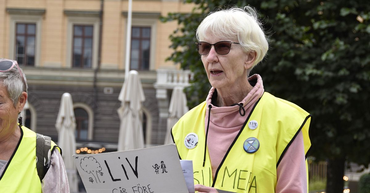 70-åriga Birgitta från Gävle blockerade bilväg för klimatet – nu är hon ...