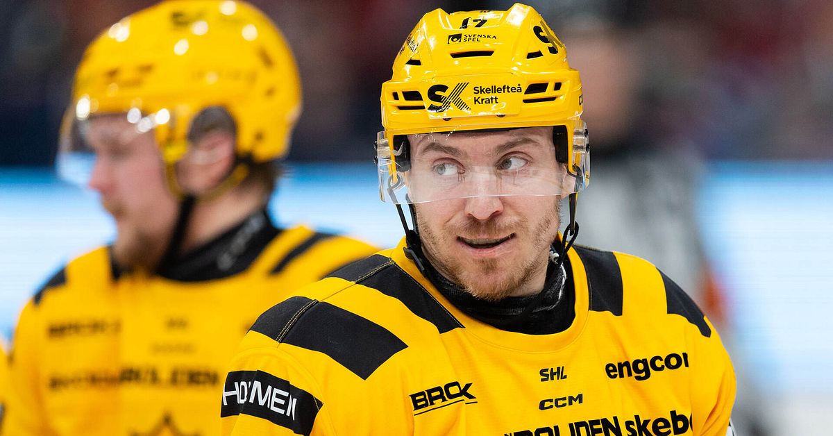 Skellefteå AIK: Pär Lindholm har förlorat fyra SM-finaler: ”Det är det som driver mig allra mest”