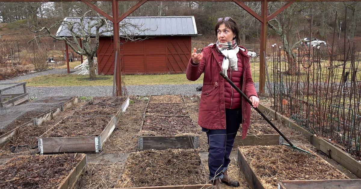 Rus porno filmlar tabiatda