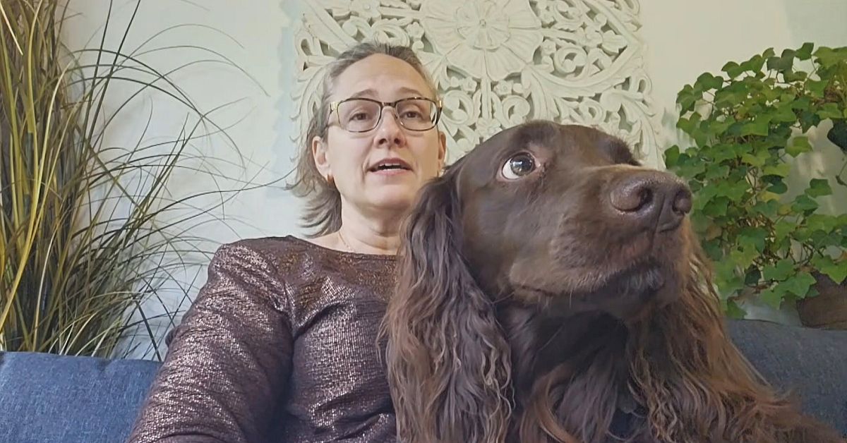 Branschen f&ouml;r s&ouml;khundar vill ha narkotika f&ouml;r &ouml;vning: &rdquo;Skulle underl&auml;tta&rdquo;