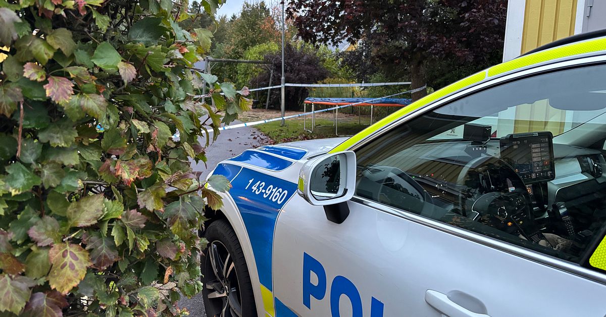 Uppgifter: Kvinna skadad i v&aring;ldsd&aring;d i Hovsl&auml;tt &ndash; var utsatt f&ouml;r hot