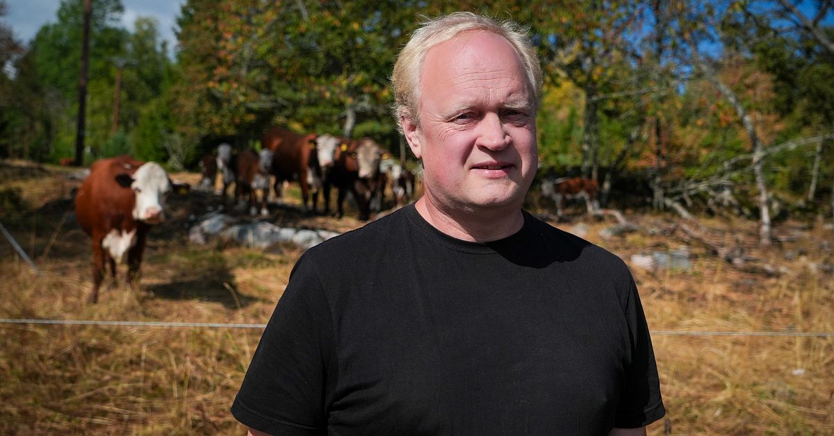 Lantbrukarnas oro i nya vargreviret: &rdquo;Stor risk f&ouml;r angrepp&rdquo;