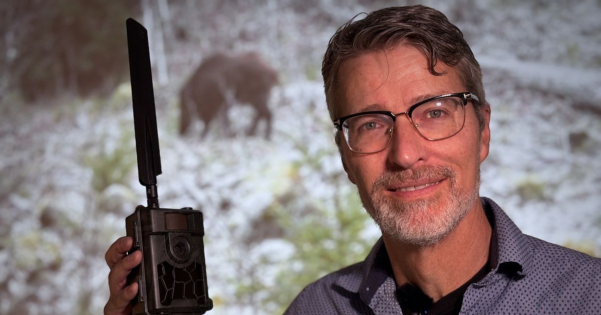 AI-kamera ska stoppa vildsvinens skador – testas nu på svenska gårdar