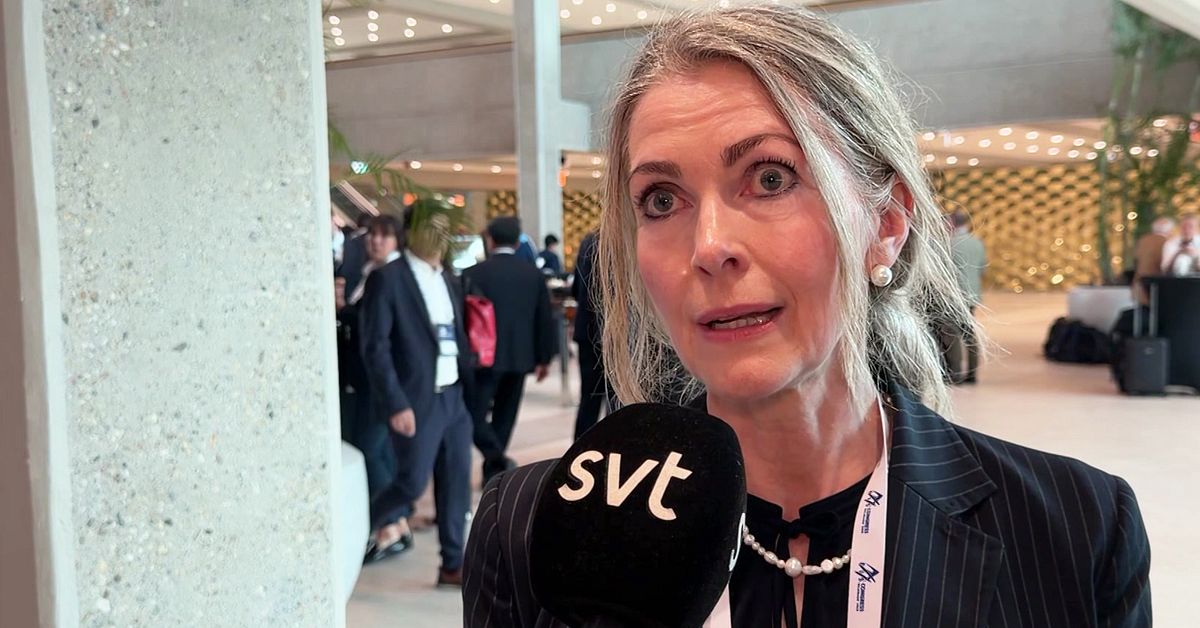 Svenska missr&auml;kningen &ndash; Karin Mattsson valdes bort fr&aring;n Fis-styrelsen