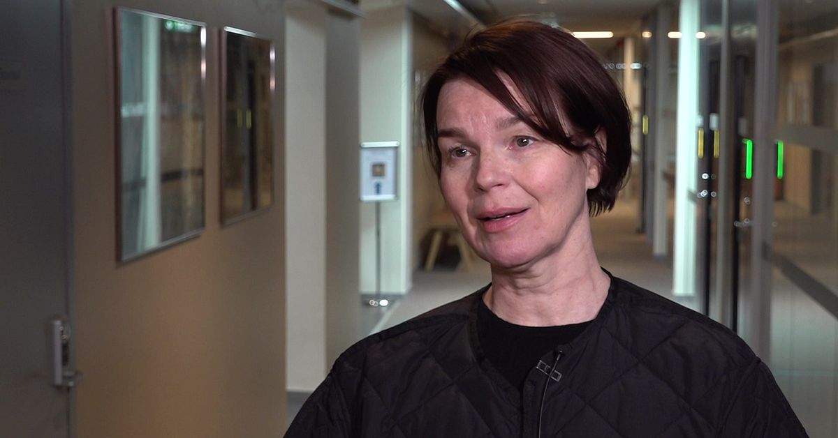 Anna J&auml;rvinen: Jag har k&auml;nt mig utanf&ouml;r &auml;ven i sverigefinskheten