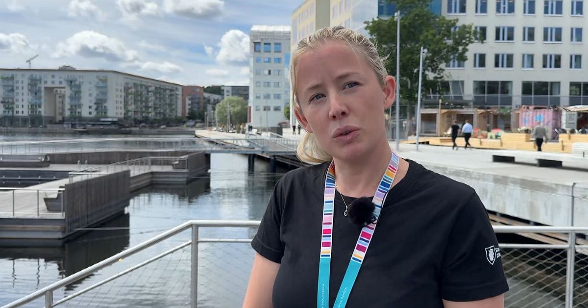 H&auml;r &auml;r listan: 10 badplatser i Stockholm har f&aring;tt badf&ouml;rbud