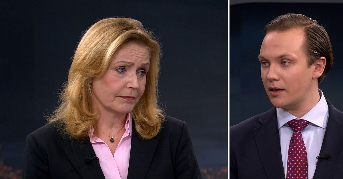 Tobias Andersson (SD): Staten ska inte tillverka batterier
