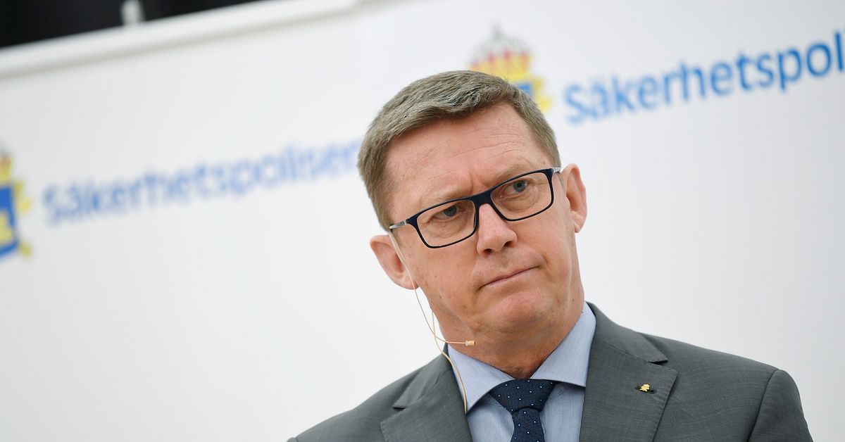 Tidigare Säpochef ska se över Regeringskansliets säkerhetsarbete