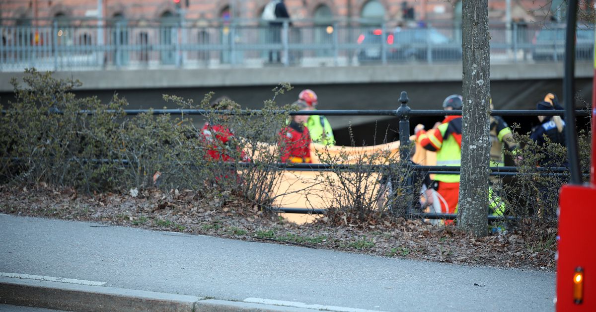 Larm om drunkning i centrala G&auml;vle