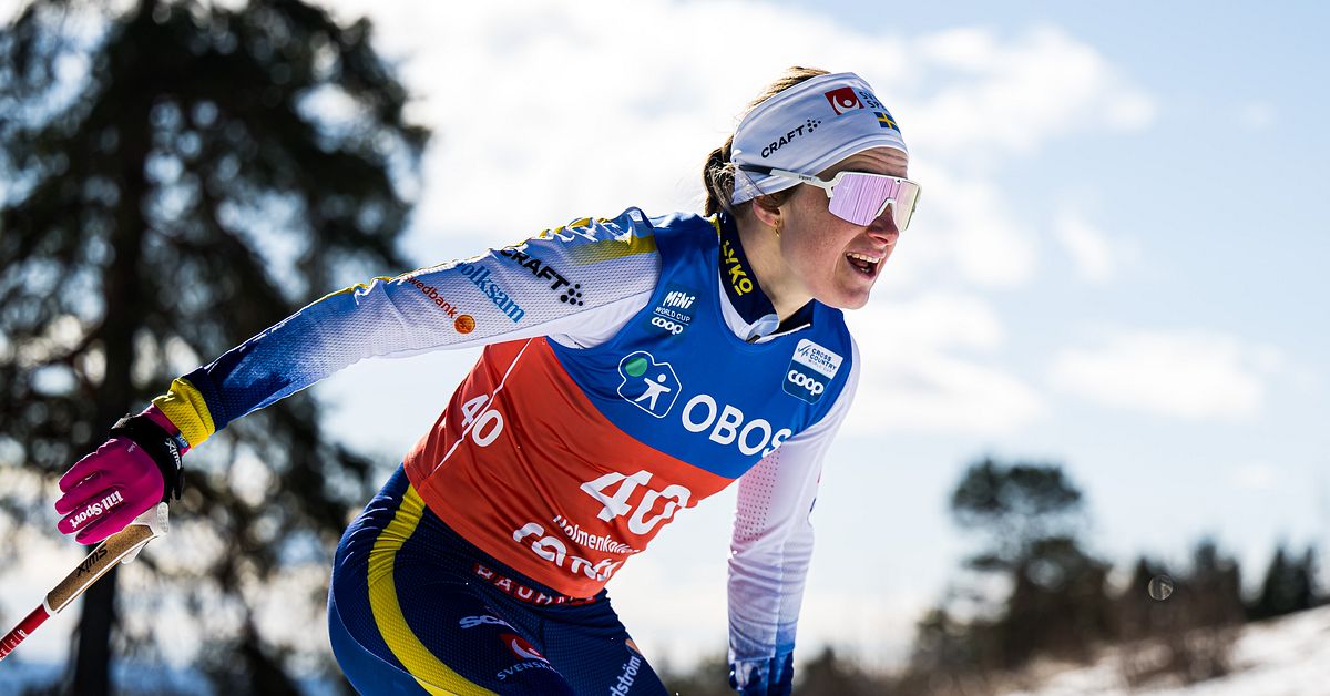 Guide: Cross-Country World Cup 2025/2026