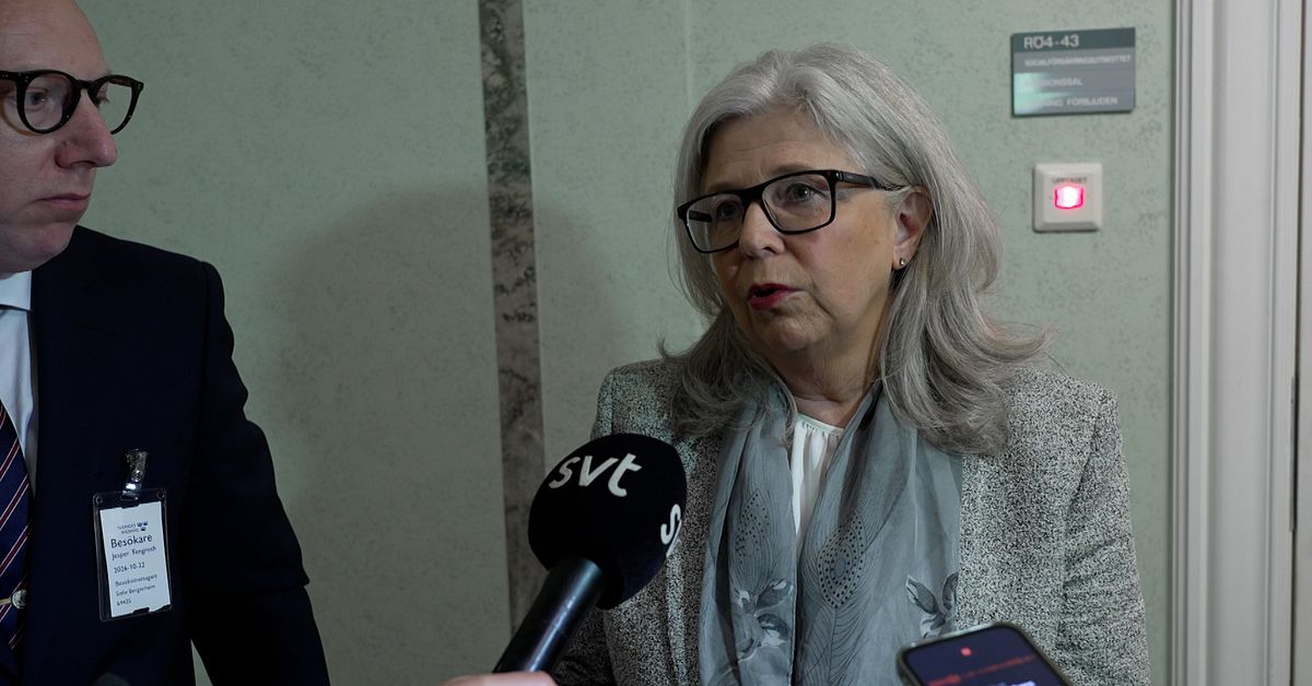 Migrationsverket &ouml;ppnar f&ouml;r att pausa ton&aring;rsutvisningar
