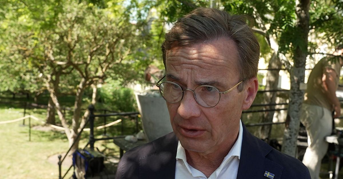 Staten g&aring;r in som del&auml;gare i ny k&auml;rnkraft