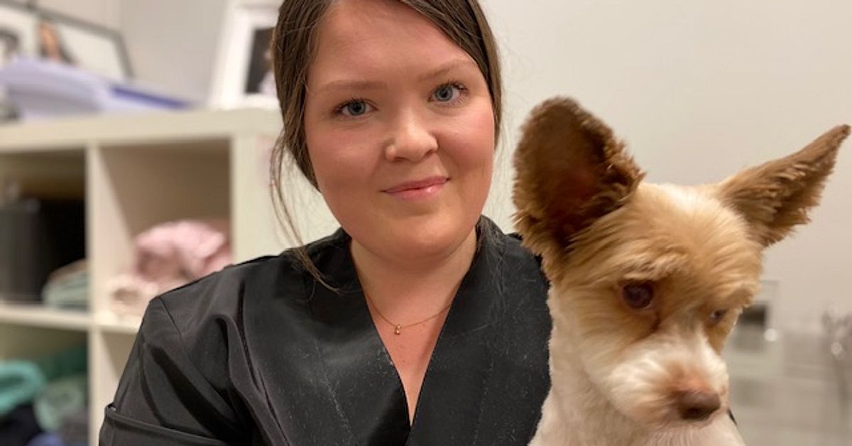 Hundfrisören Anna i Luleå: ”De tror inte att det är ett riktigt jobb”