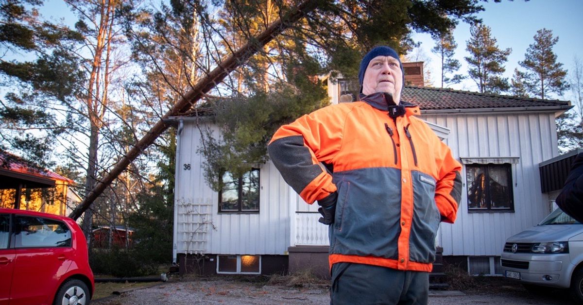 Tomas i J&auml;rbo om stormen Johannes: &rdquo;Tr&auml;den b&ouml;jde sig som bananer&rdquo;