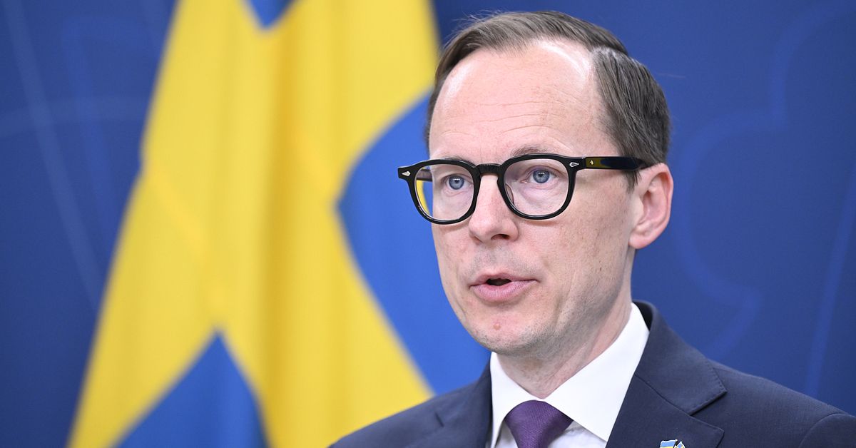 Arbetsmarknadsminister Mats Persson (L) avgår
