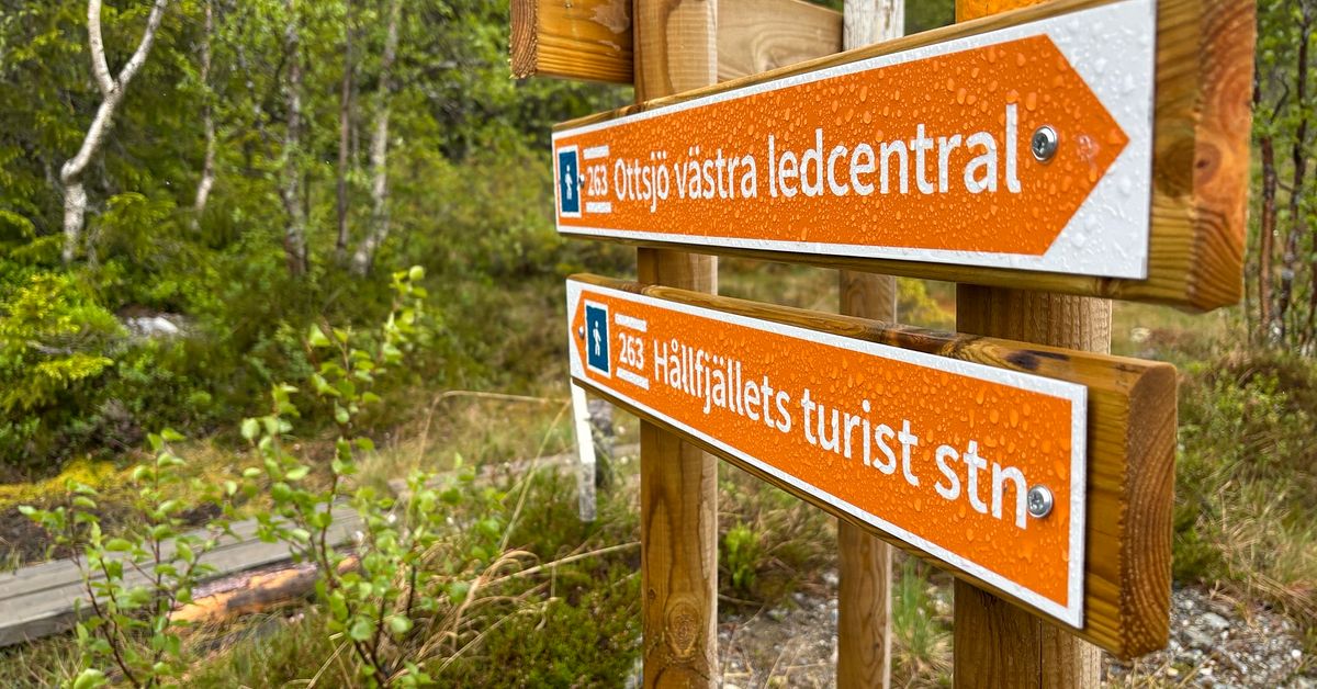 Efter larm om naturskador och väg på Hållfjället – Entreprenören: Det är ren lögn