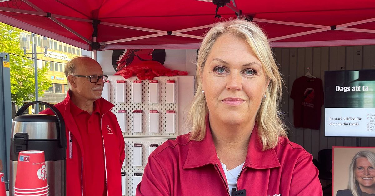 S vill ta bort n&auml;tl&auml;kartaxan: &rdquo;Tar betalt f&ouml;r v&aring;rd som de inte utf&ouml;r&rdquo;