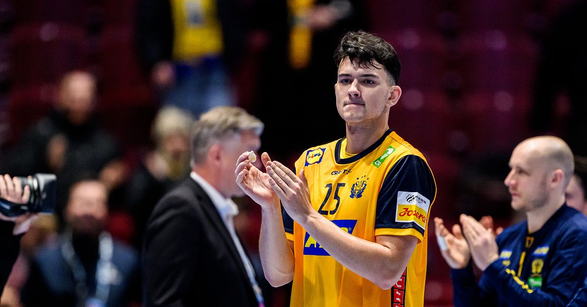 Roganovic: ”Varje dag varit en stor lärdom” | SVT Nyheter