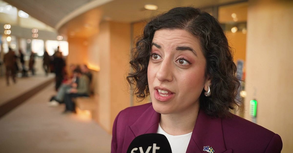 Mohamssons prestigeprojekt hotat – efter ”massiv kritik” i Liberalerna