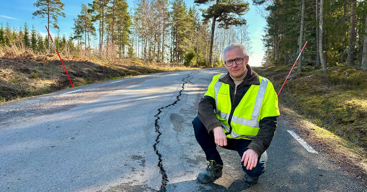 Tj&auml;len spr&auml;cker v&auml;garna &ndash; h&ouml;r Trafikverket: D&auml;rf&ouml;r lagas inte skadorna direkt