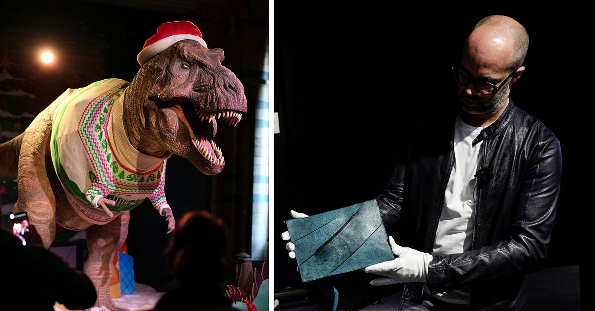 Flopp f&ouml;r v&auml;ska av &rdquo;&auml;kta&rdquo; T-rex-skinn p&aring; fransk auktion