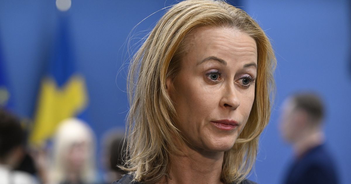 &Aring;klagaren g&aring;r mot Nybergs version: Har tagits en p&aring;se i beslag