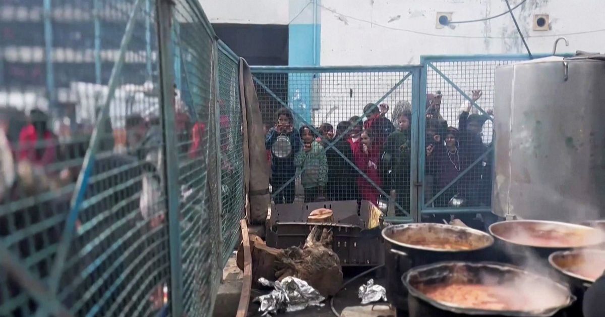 Experten om svältnivån i Gaza: ”Brandlarmet tjuter”