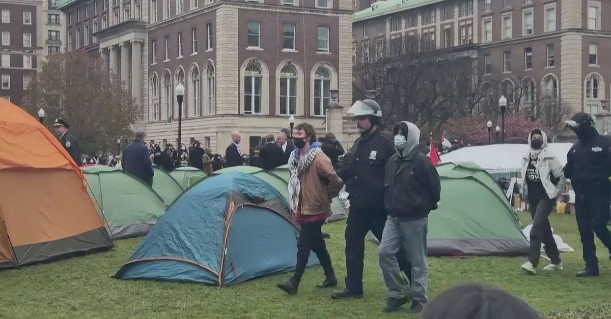 Le migliori università saranno esaminate nella gestione delle proteste studentesche