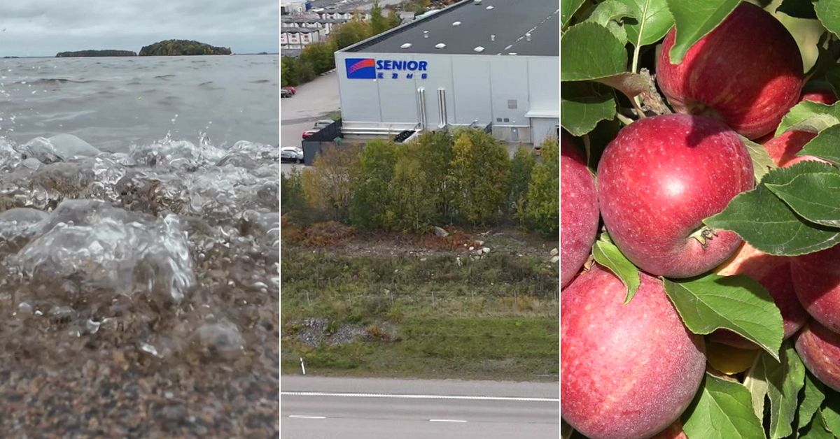 Experterna svarar: Så påverkas frukt, vatten och luft av metylenklorid