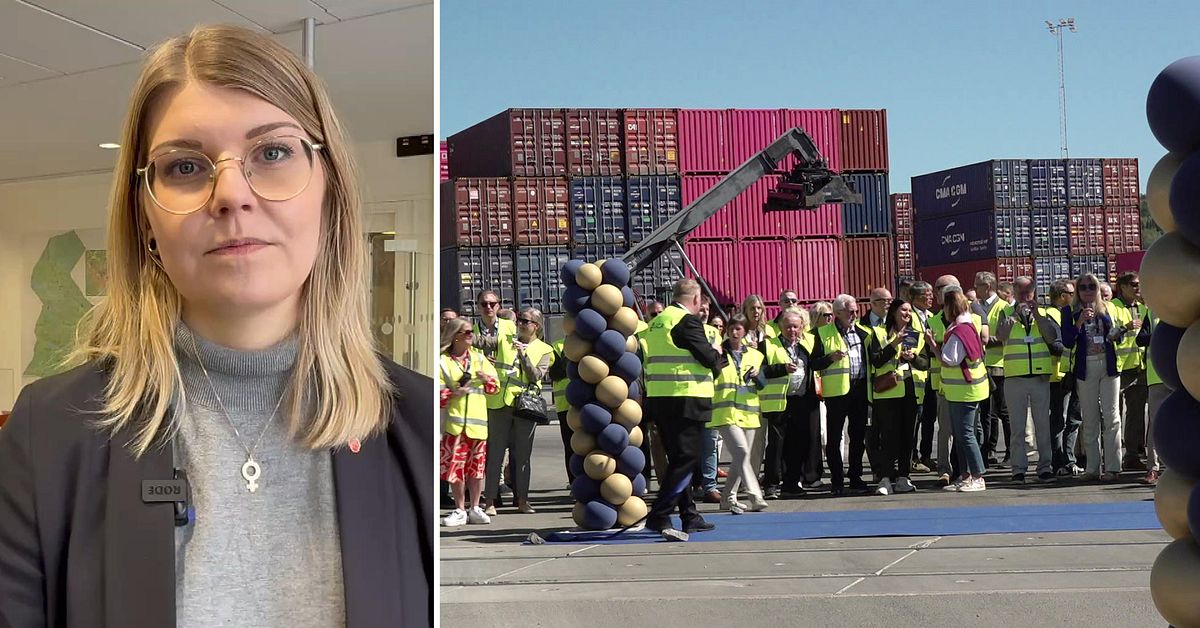 Tv&aring; S-politiker i Sundsvall misst&auml;nks f&ouml;r ekobrott efter tillslag mot kommunen