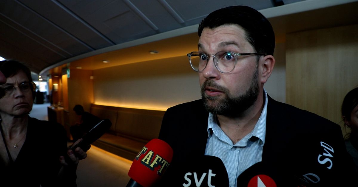 Jessica Stegrud (SD) filmade tonåringar på Centralstationen