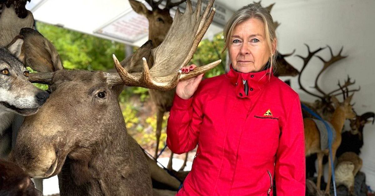 Nu dubbleras antalet &auml;lgolyckor: &rdquo;Varningsskyltar bryr sig inte folk om&rdquo;