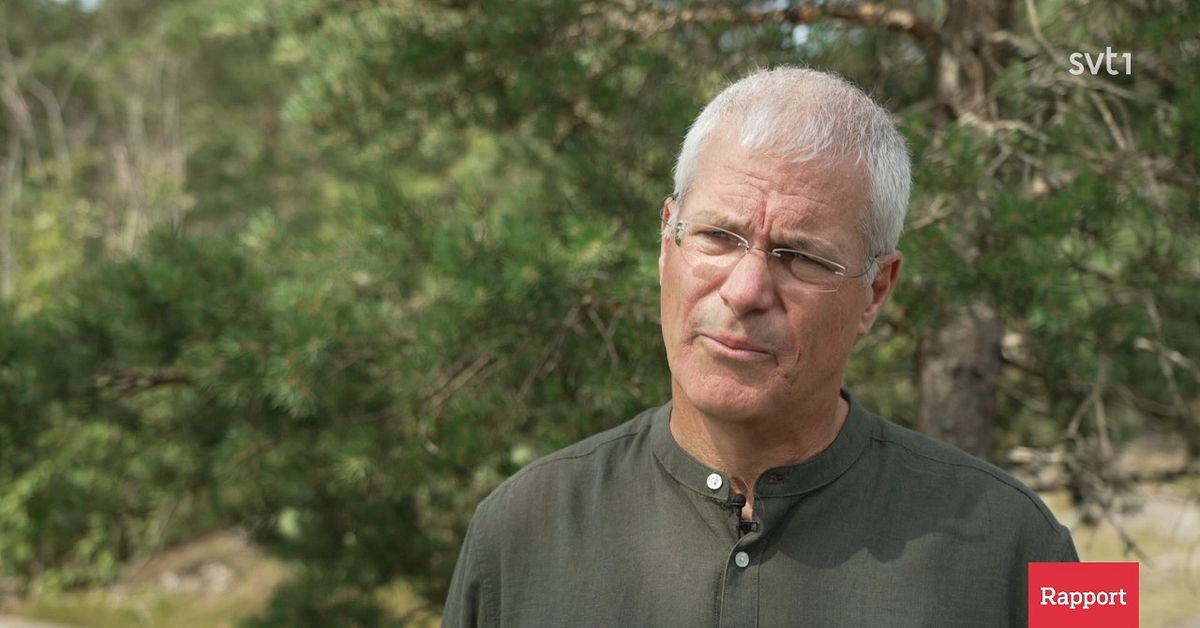 Experten om larven p&aring; Gotland: &rdquo;H&aring;ll avst&aring;nd&rdquo;
