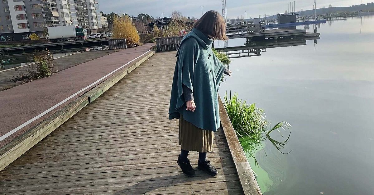 Två grader varmare i Mälaren – kraftigare algblomning hela hösten