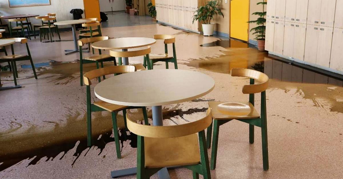 Tonåringar hällde ut djuravföring i skola – döms